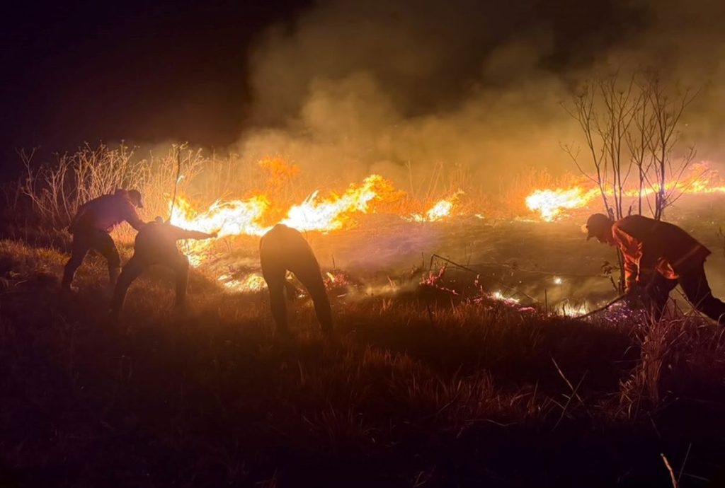 karhutla_bromo_meluas-NGw6_large