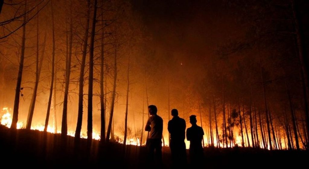 kebakaran_hutan_dan_lahan-0AYy_large