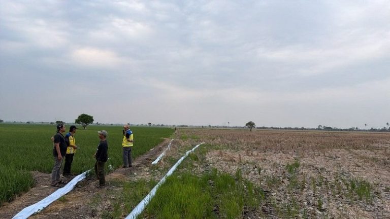 kekeringan_sawah-i17x_large