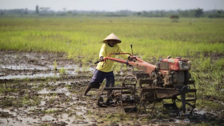 Meeting Results: RI Jajaki Kerja Sama Industri Alat Berat dan Pertanian dengan Belarus