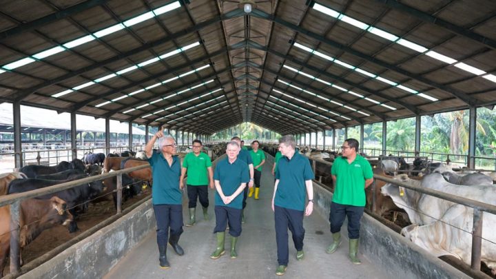 Topics Covered: Perkuat Kerja Sama, Dubes Australia Brazier Kunjungi Medan