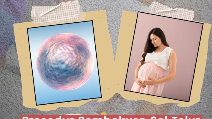 Historic Moment: Mengenal Prosedur Egg Freezing yang Dilakukan Para Artis
