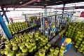 Key Strategy: RI Siap Impor 100 Ribu Tabung CNG untuk Gantikan LPG 3 Kg