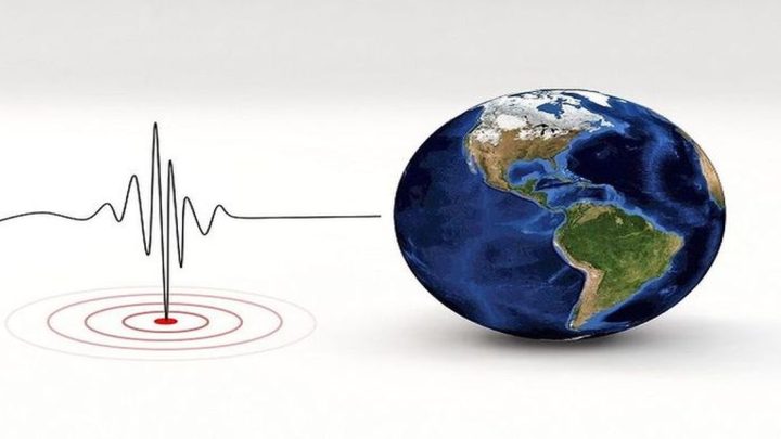 Latest Update: Gempa M4,8 di Tolitoli, Waspada Potensi Guncangan Susulan
