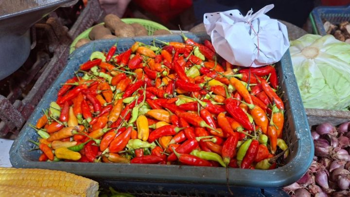 Special Plan: Harga Cabai Melonjak, Rawit Merah Tembus Rp76.450 per Kg