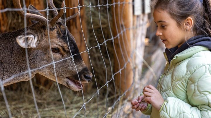 Rekreasi Tetap Bijak – Ajak Anak Jaga Kebersihan di Kebun Binatang