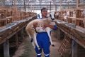 Facing Challenges: Apakah Boleh Kurban Satu Kambing untuk Keluarga?