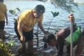Special Plan: MNC Peduli Bersama Next Hotel Yogyakarta Tanam 100 Mangrove di Pantai Baros, Aksi Nyata Selamatkan Ekosistem