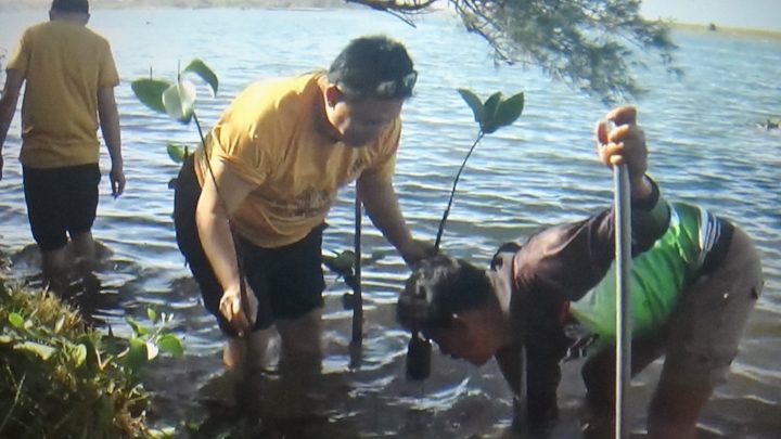 Special Plan: MNC Peduli Bersama Next Hotel Yogyakarta Tanam 100 Mangrove di Pantai Baros, Aksi Nyata Selamatkan Ekosistem