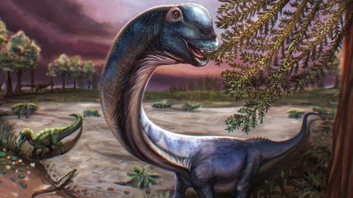 Kerangka Dinosaurus Terbesar di Asia Tenggara Ditemukan di Thailand