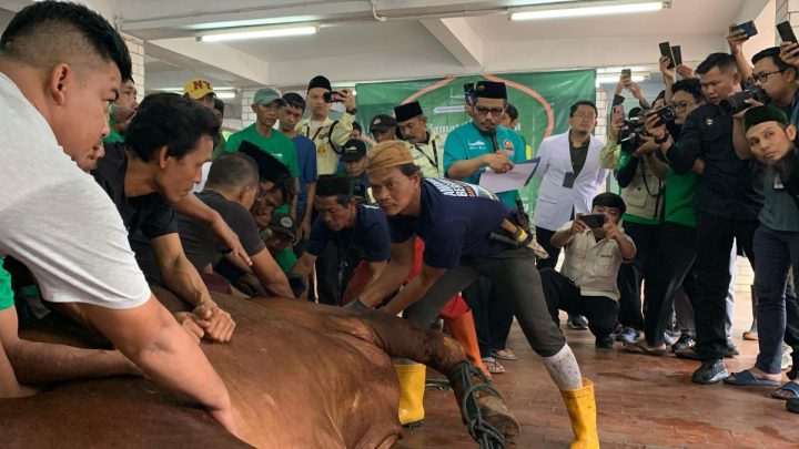Key Strategy: Masjid Istiqlal Tiadakan Pembagian Daging Kurban Langsung saat Iduladha 1447 H