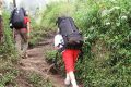 3 Pendaki Tewas – Polisi Sebut Penyedia Jasa Open Trip Tahu Gunung Dukono Status Waspada