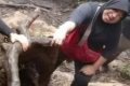 Viral! Ibu Rela Naik Gunung Dempo demi Lihat Makam Anaknya yang Wafat saat Mendaki