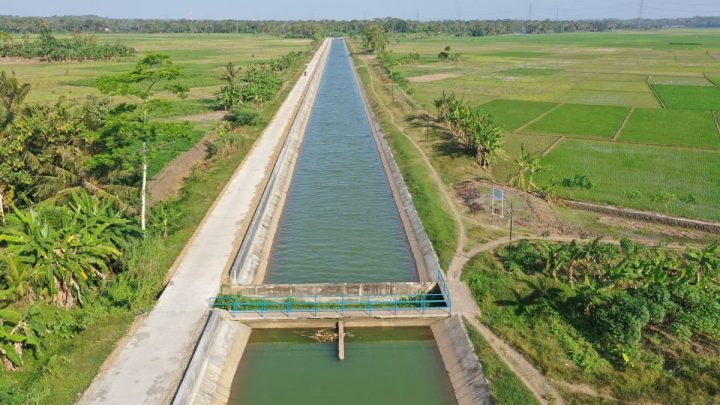Solving Problems: Sektor Pertanian hingga Pariwisata Jadi Penggerak Ekonomi Daerah