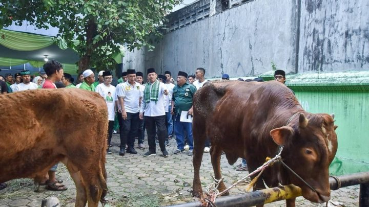 What Happened During: Mardiono: Pelaksanaan Kurban Bentuk Kepedulian Sosial kepada Masyarakat