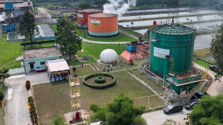 Latest Program: RI Kembangkan Gas Limbah Sawit Pengganti LPG