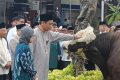 Purbaya Kurban 2 Sapi 800 Kg – Dibeli Pakai Duit Pribadi