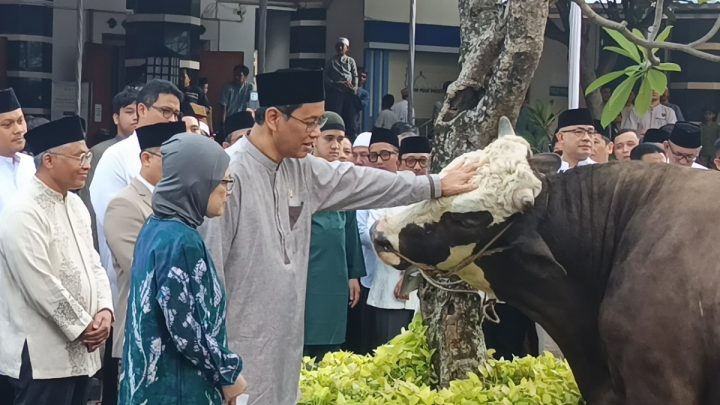Purbaya Kurban 2 Sapi 800 Kg – Dibeli Pakai Duit Pribadi