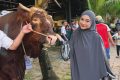 Historic Moment: Tangis Ria Ricis Pecah Lihat Sapi Kurban Disembelih