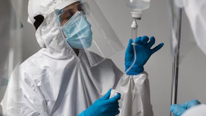 Kronologi Malaria Monyet Masuk ke Indonesia: Berawal dari Temuan di Malaysia