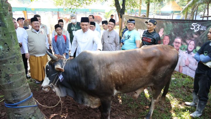 Key Issue: Indonesia Surplus 800 Ribu Ekor Hewan Kurban, Stok Aman