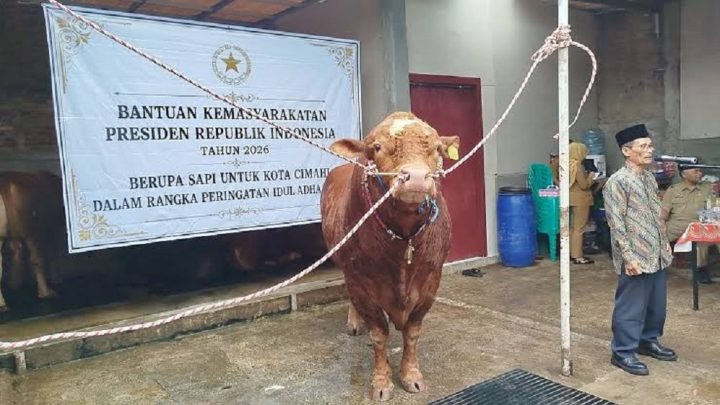 Latest Program: Banpres Kemasyarakatan Idul Adha dan Kedewasaan Berbangsa