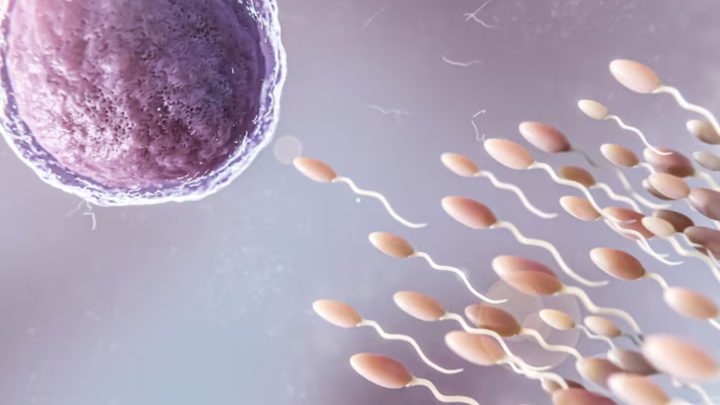 Mitos atau Fakta: Sperma yang Kental Lebih Subur
