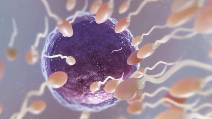 Benarkah Sperma Berenang Seperti Atlet Olimpiade? Ini Faktanya