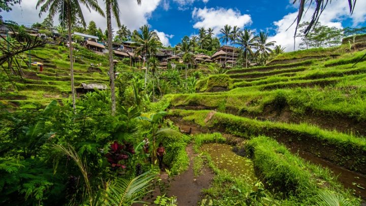 Latest Program: 5 Lokasi Syuting Film di Bali, Bisa Jadi Ide Traveling