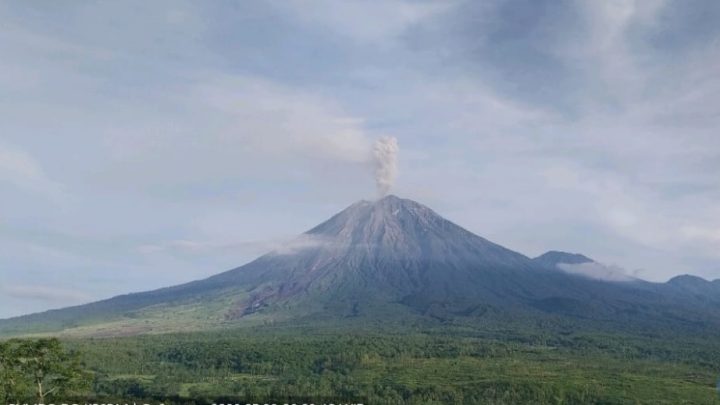 Breaking News! Gunung Semeru Meletus – Muntahkan Abu Vulkanik hingga 1.000 M