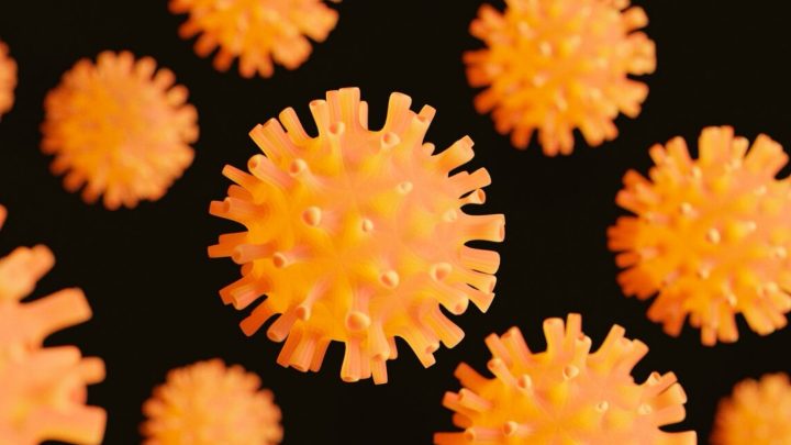 Gejala Hantavirus Mirip Flu tapi Bisa Membahayakan Paru-Paru