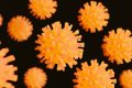 IDAI Sebut Campak Lebih Mendesak Dibanding Hantavirus