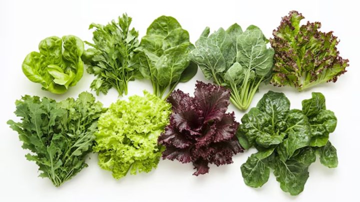 Bayam vs Kale – Mana yang Lebih Sehat?