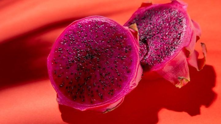 What You Need to Know: Mengulik Fakta Menarik di Balik Buah Naga