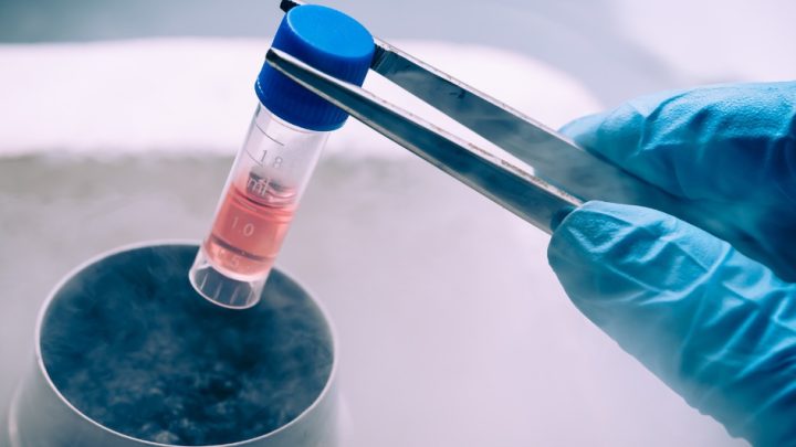 Key Strategy: Berapa Biaya Egg Freezing atau Pembekuan Sel Telur di Indonesia?