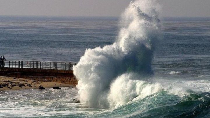 What Happened During: Peristiwa Bersejarah 2 Juni: Tsunami Banyuwangi hingga Kelahiran Tan Malaka