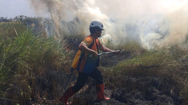 BNPB: Karhutla Landa Dua Provinsi – Hanguskan 8,3 Hektare Lahan