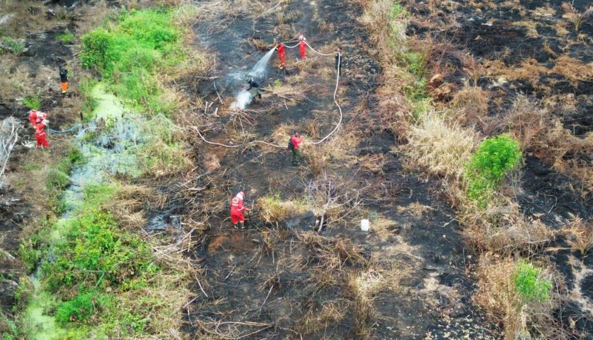 BNPB Petakan Karhutla, Didominasi Sumatera dan Kalimantan