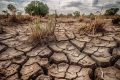 Waspada Dampak El Nino – Puncak Musim Kemarau Diprediksi Agustus 2026