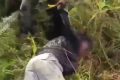 Anggota KKB Papua yang Tembaki Mobil Marinir Ditangkap!