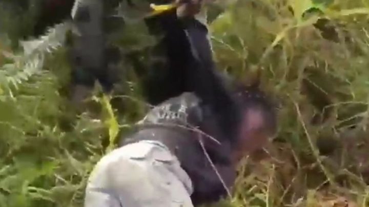 Anggota KKB Papua yang Tembaki Mobil Marinir Ditangkap!