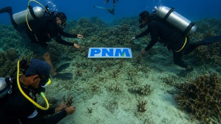 Important Visit: Upaya PNM Hadirkan Masa Depan Anak-Anak Lewat Pelestarian Laut