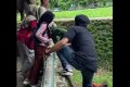 Viral! Bocah Nyaris Terjatuh ke Kandang Gajah Ragunan – Pengelola Curiga Ada Unsur Sengaja demi Konten