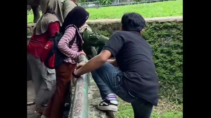 Viral! Bocah Nyaris Terjatuh ke Kandang Gajah Ragunan – Pengelola Curiga Ada Unsur Sengaja demi Konten