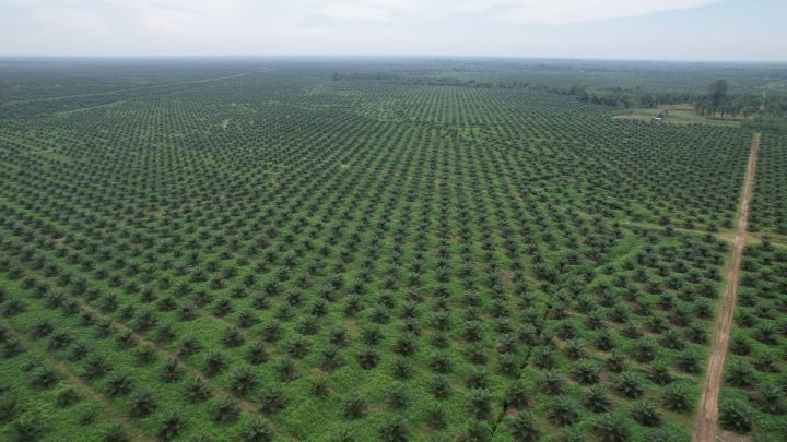 Latest Program: Kebut Hilirisasi, PTPN III Gandeng KPK Cegah Korupsi