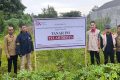 New Policy: OJK Sita 41 Aset Properti Terkait Dugaan Fraud BPRS di Medan