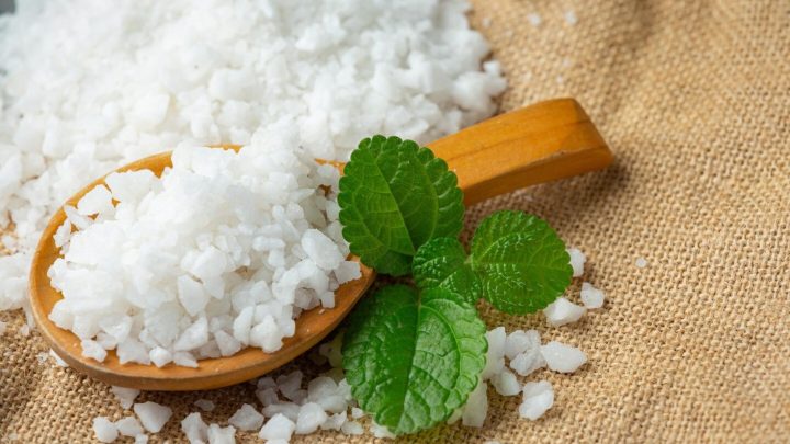 Topics Covered: Benarkah Stevia Jauh Lebih Aman dari Pemanis Buatan? Ini Jawaban Menkes