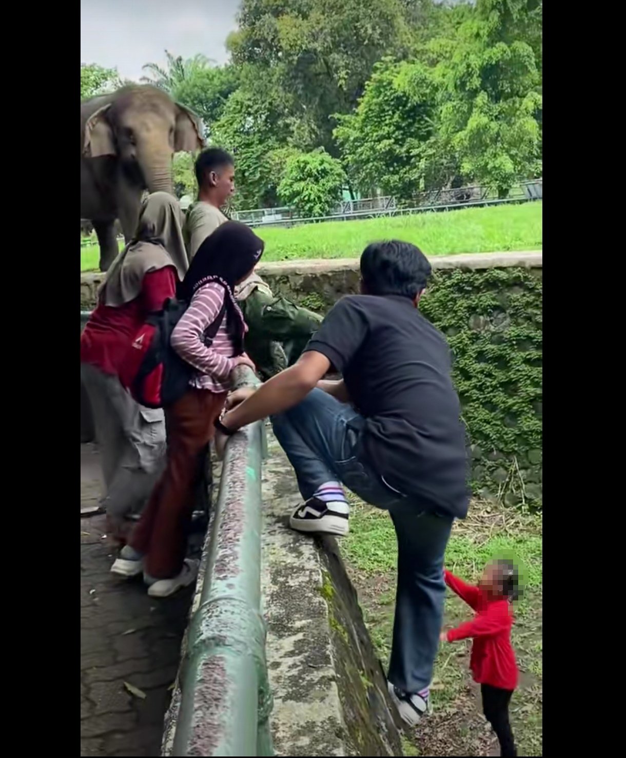 Viral Anak Jatuh di Kandang Gajah – Ragunan Perketat Pengawasan Pengunjung