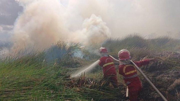 Facing Challenges: Karhutla Hanguskan 107.465 Hektare Lahan di Indonesia, Kalbar Terparah