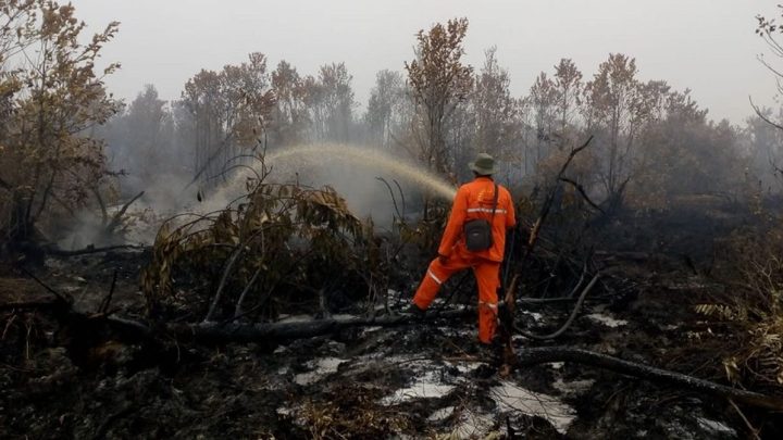 Karhutla Dominasi Bencana di Tanah Air Akhir Pekan Ini